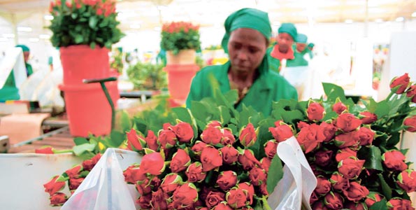 Russia, Ukraine conflict set to exert toll on local exporters - Vimarsana News