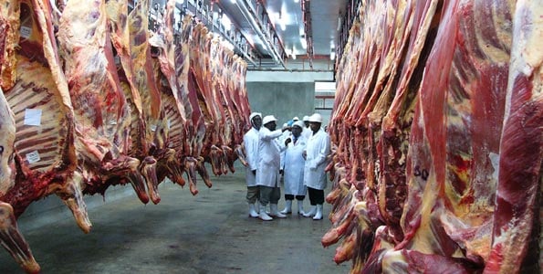 Saudi Arabia issues new rules for Kenyan meat