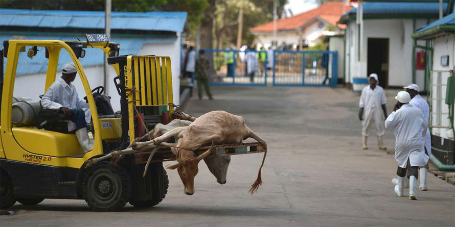 State gets 90 days to regularise Kenya Meat Commission transfer - Vimarsana News
