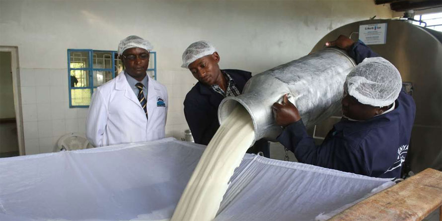 Consumer relief as rains seen lifting milk production - Vimarsana News
