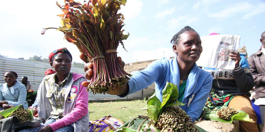 Kenya finalising miraa trade deal with Mogadishu - Vimarsana News