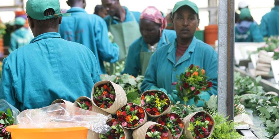 Finlay to cut over 900 jobs as curtains fall on flower business