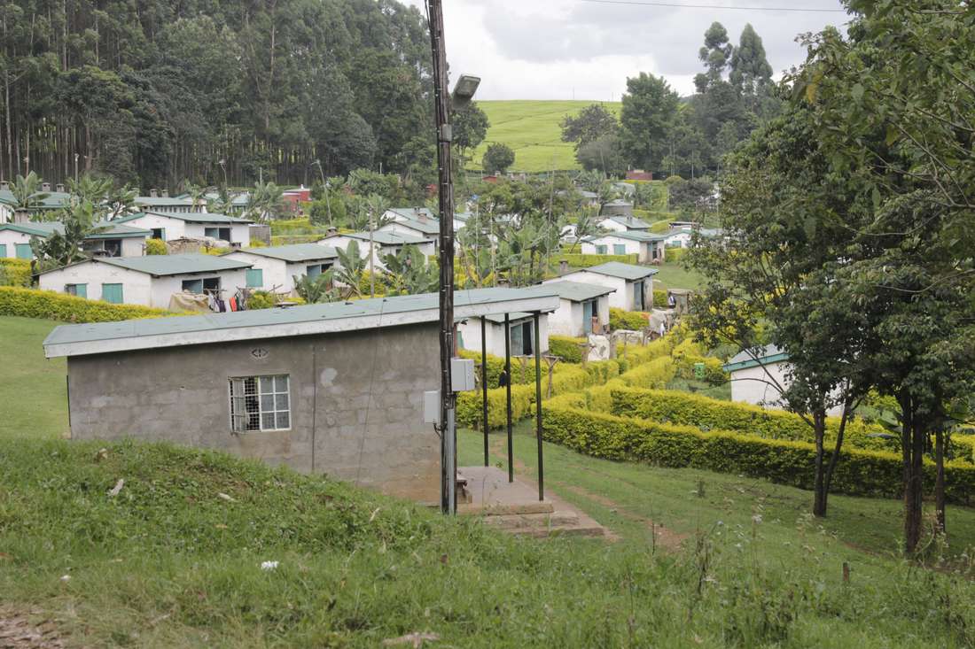 James Finlay exits flower business with sale of Kericho farm