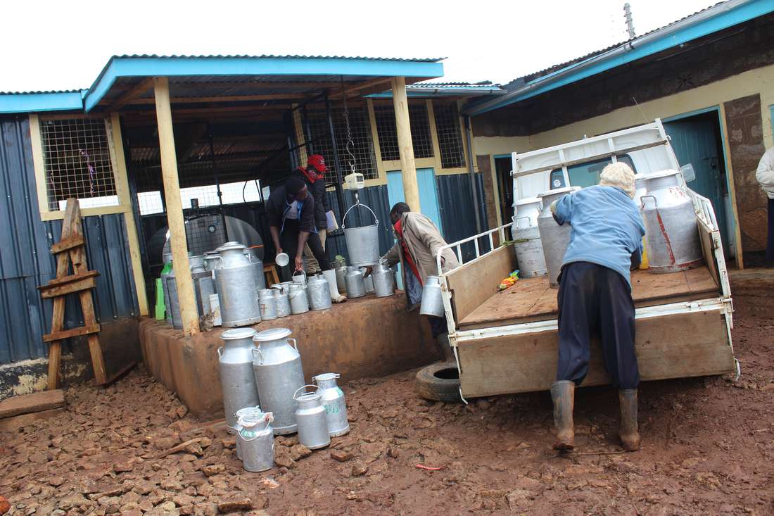 Dairy farmers find pricing glory in co-operative front - Vimarsana News