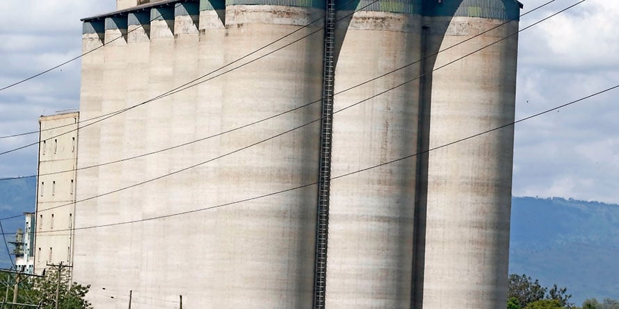 NCPB struggling to offload Sh1.2bn maize ahead of new harvest