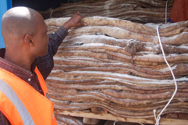 KRA seizes 25 export containers, spared Sh75m tax loss