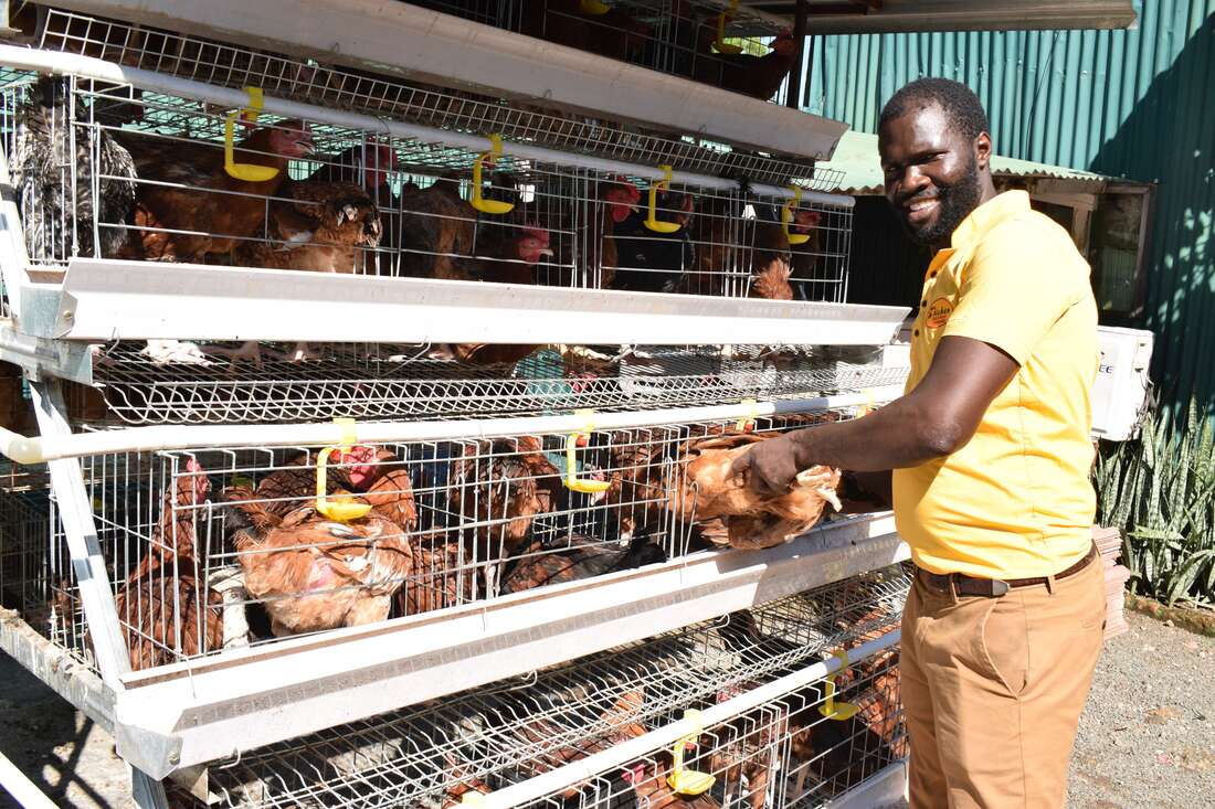 Co-operatives give poultry in western Kenya wings to soar - Vimarsana News