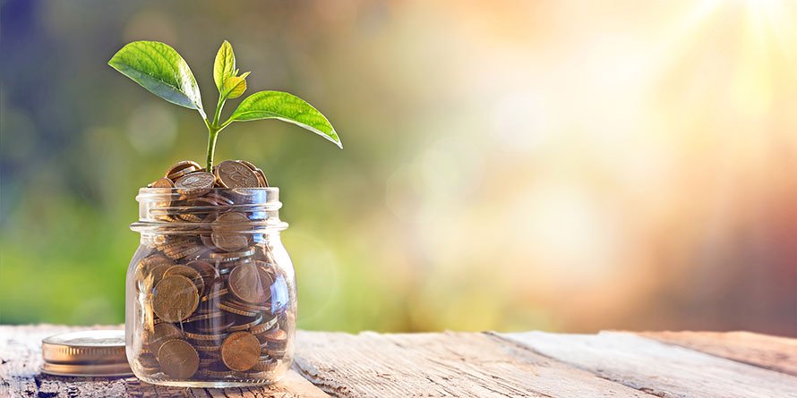 Why having an active money manager is bad investment - Vimarsana News