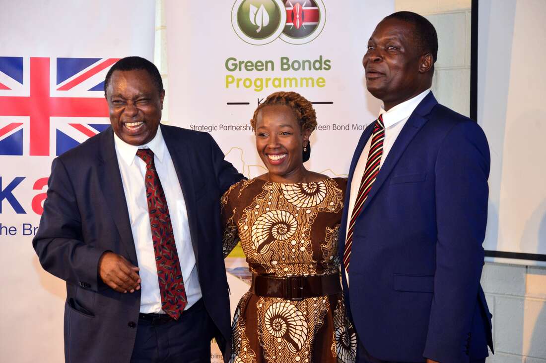 How to drive social impact through green financing - Vimarsana News