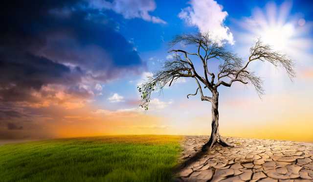 How climate change is shaping financial markets - Vimarsana News