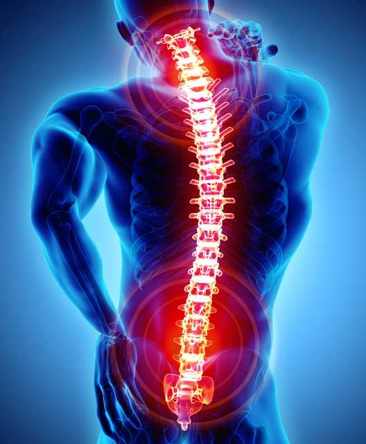 Managing Back Pain - Vimarsana News