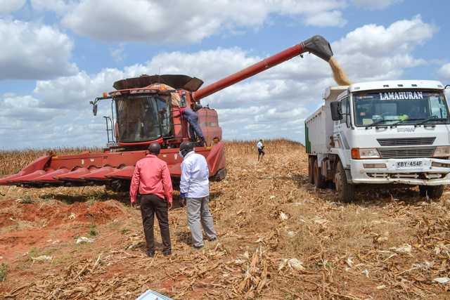 Treasury starts to commercialise Galana-Kulalu - Vimarsana News