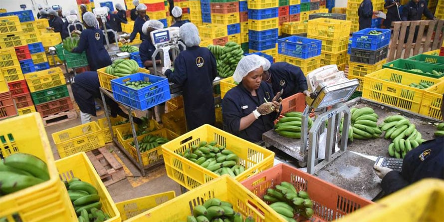 Twiga Foods raises Sh5.5bn for East and West Africa expansion