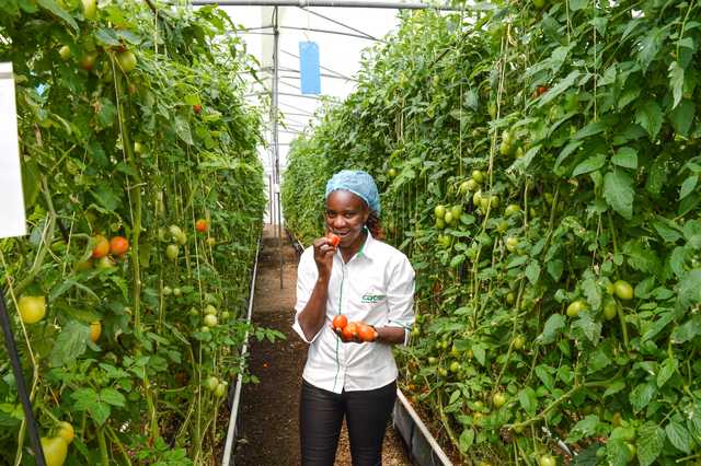 State agency eyes geothermal heat to fire up farming, manufacturing - Vimarsana News