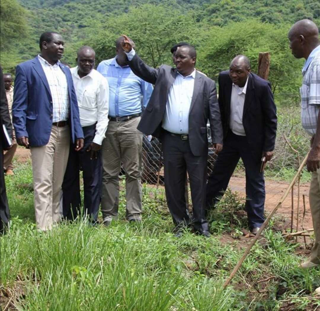 Elgeyo Marakwet, West Pokot bank on special grass to end landslides - Vimarsana News