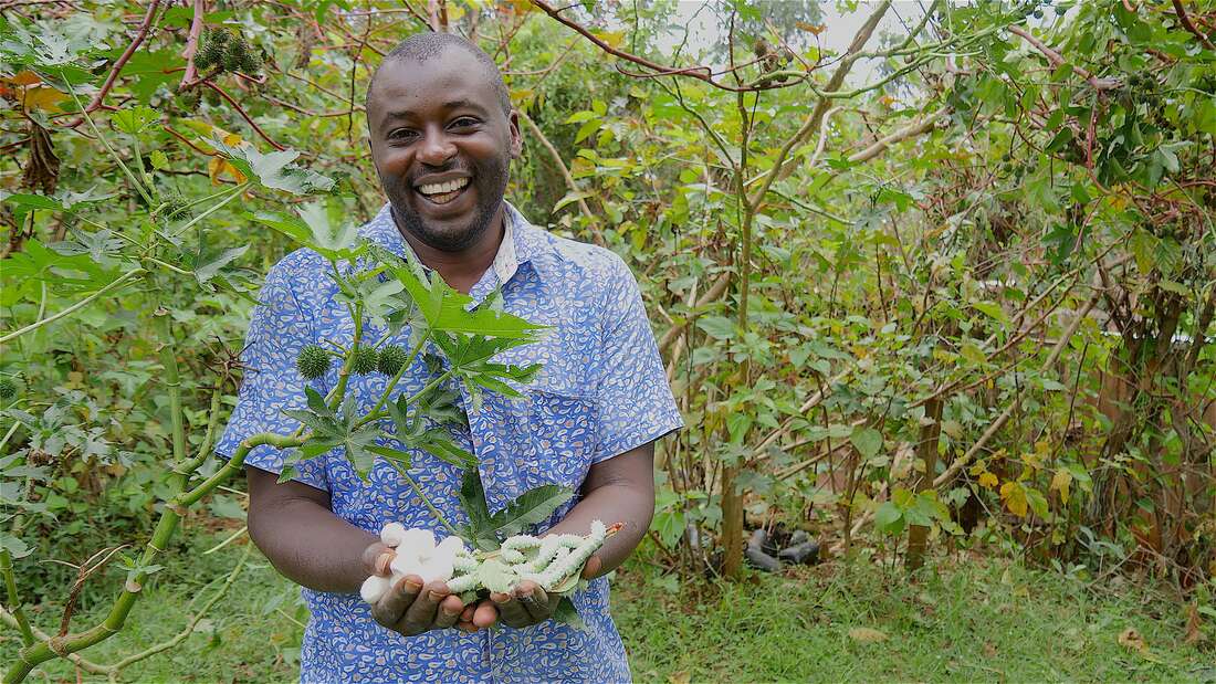 Expensive fish meal led me to silkworm farming