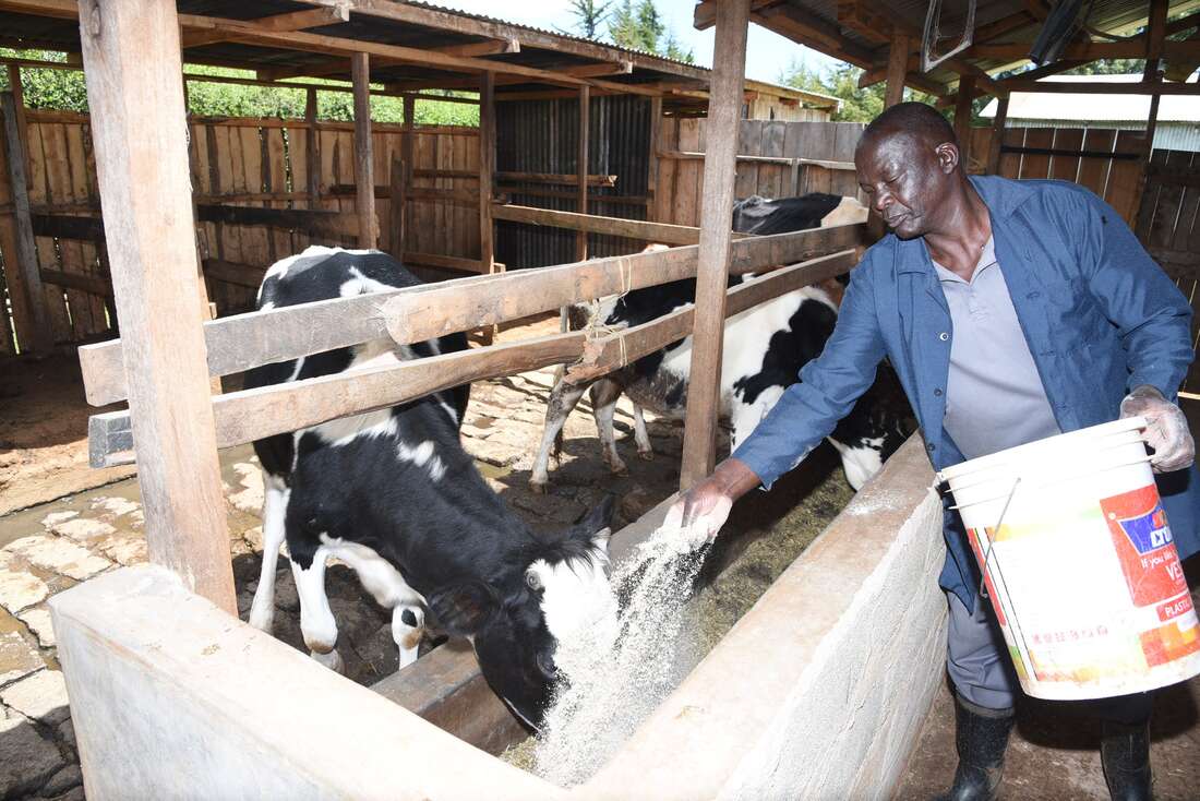 Import tax relief delay keeps feed prices high - Vimarsana News
