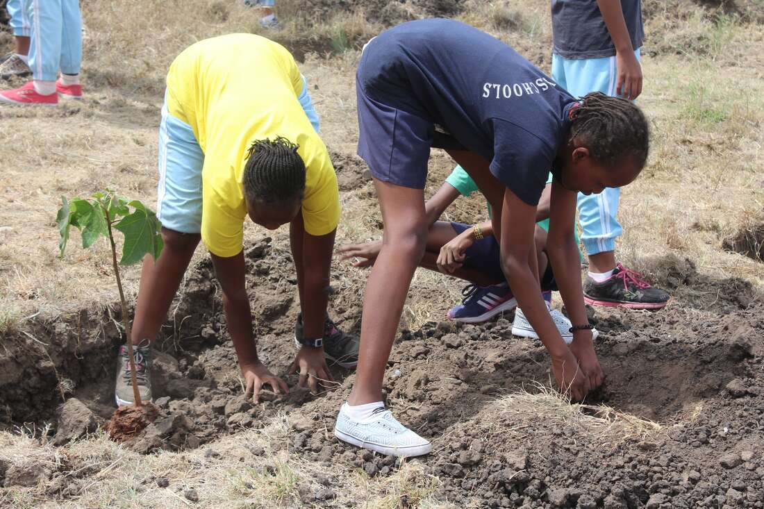 Narok pupils lead bid to turn tide on climate change - Vimarsana News