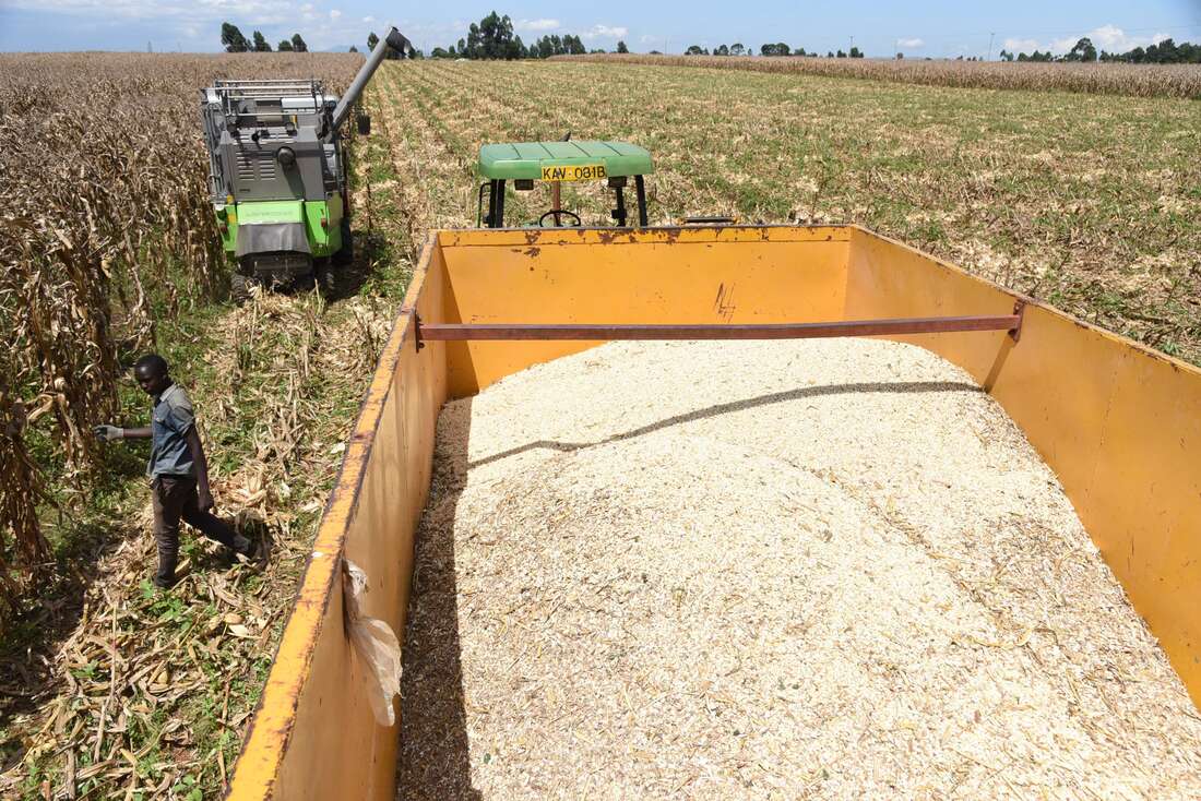 Blow for farmers as maize locked out of receipt system