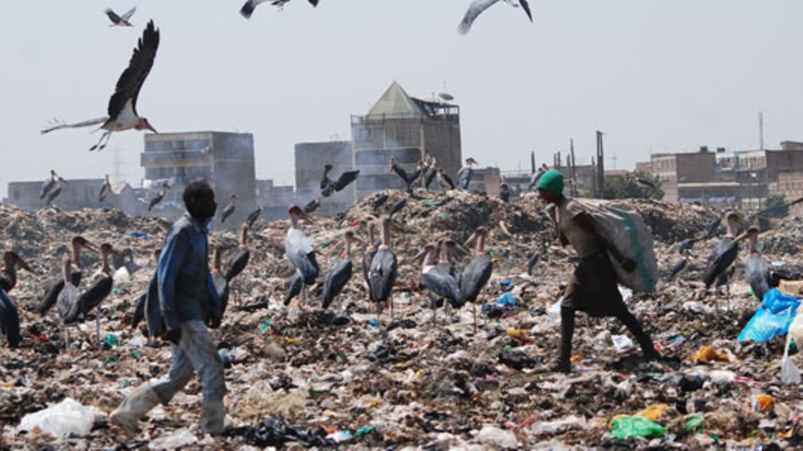 45MW Dandora dumpsite power plant set up plan gets KenGen, NMS nod - Vimarsana News