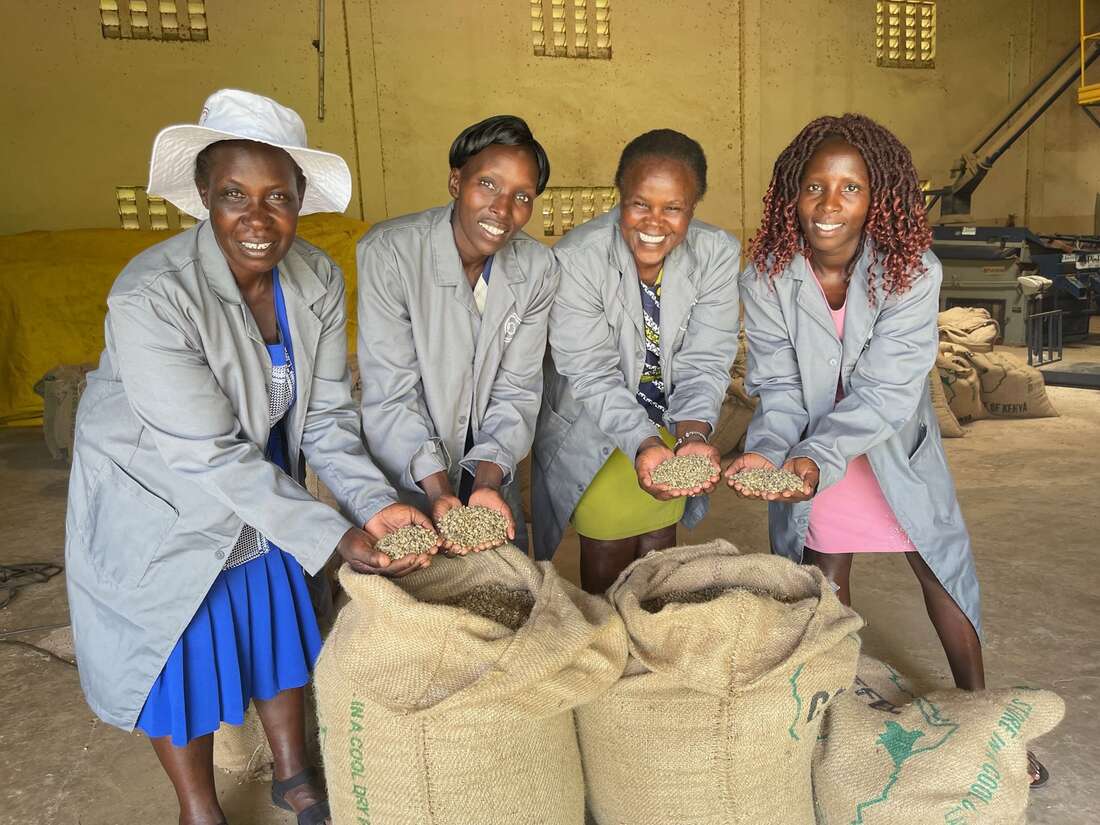 Coffee farms give Kipkelion women financial freedom - Vimarsana News