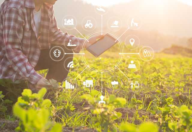 New regional digital plan to bridge data gaps in food stocks - Vimarsana News
