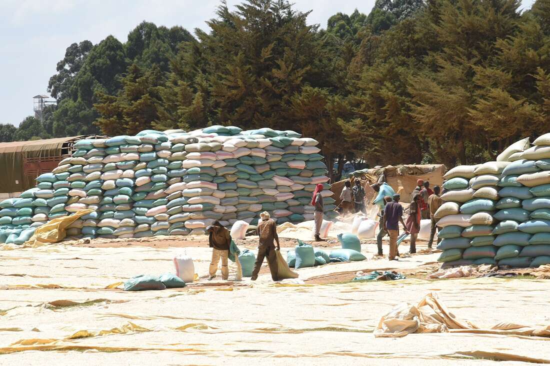 Competition watchdog probes price-fixing claims among maize millers - Vimarsana News