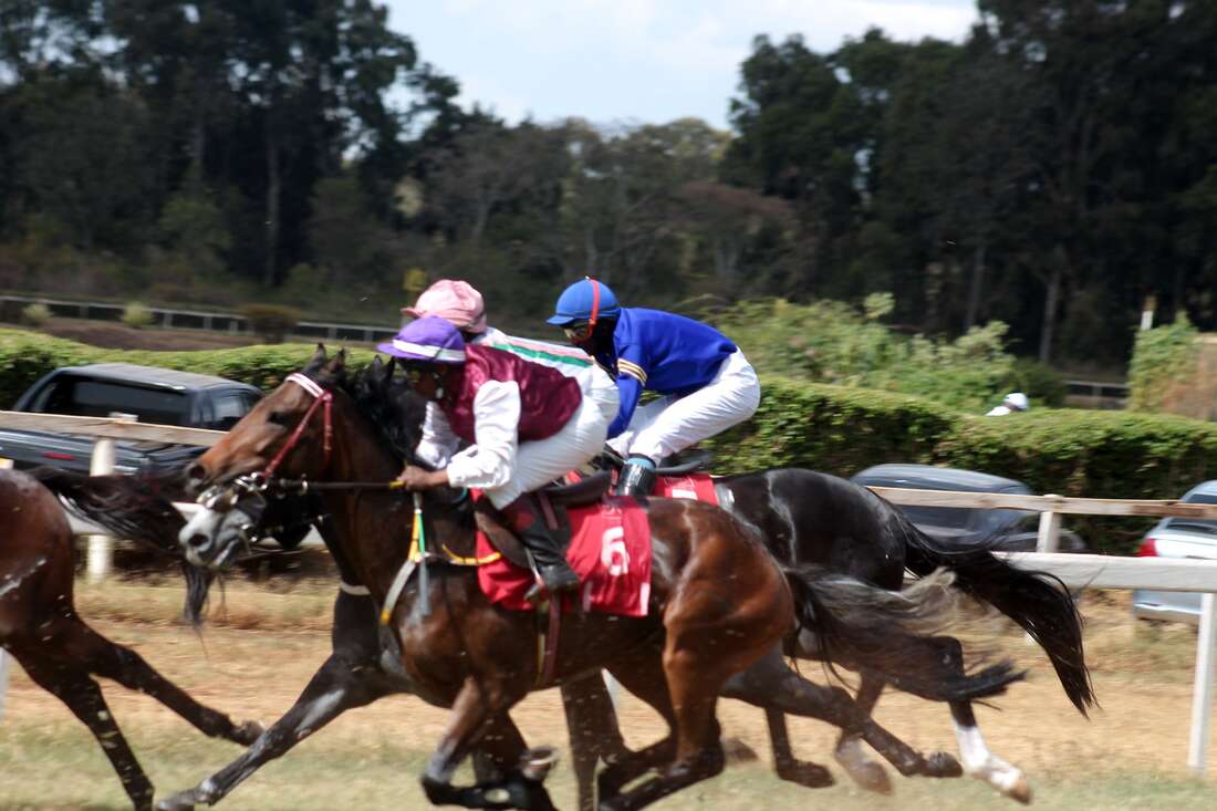 Treasury exempts horse racing from steep betting taxes - Vimarsana News