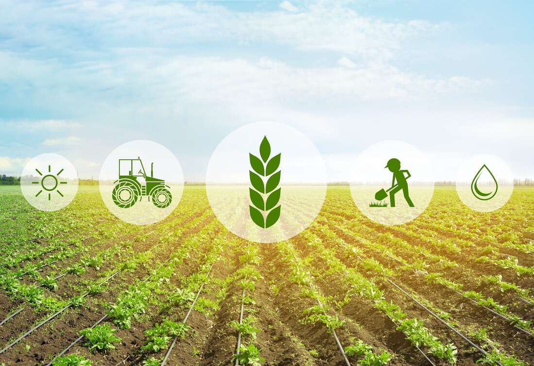 Two Kenyan startups picked for agripreneurs challenge - Vimarsana News