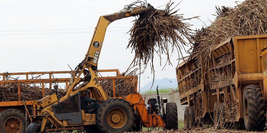 Sugar production drops 34pc on elections, annual factory repairs - Vimarsana News