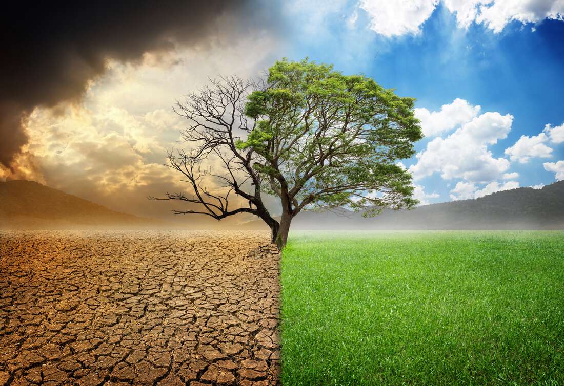 Sustainable Development is Critical for Developing Countries - Vimarsana News