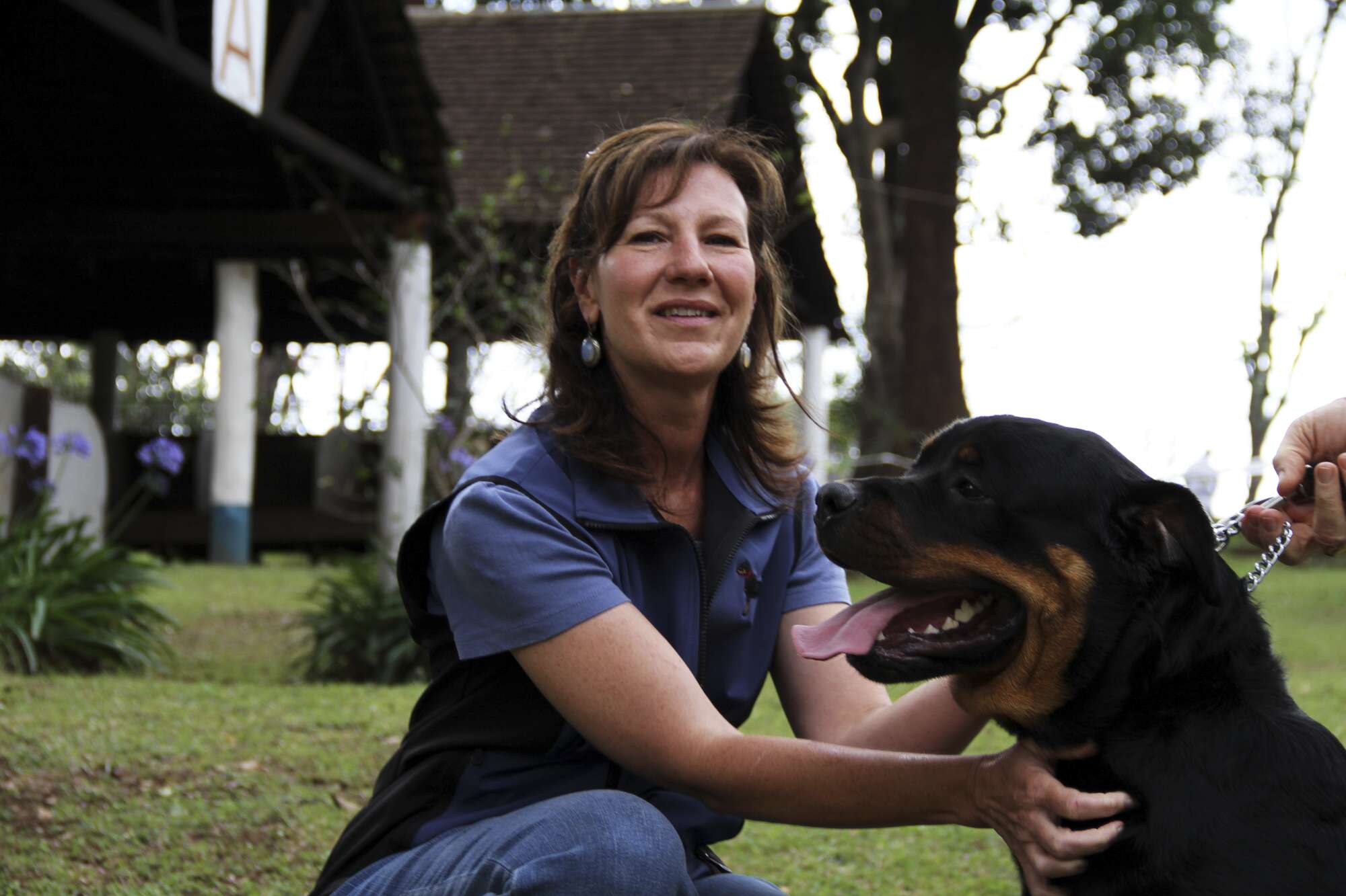 How to pick the perfect dog - Vimarsana News