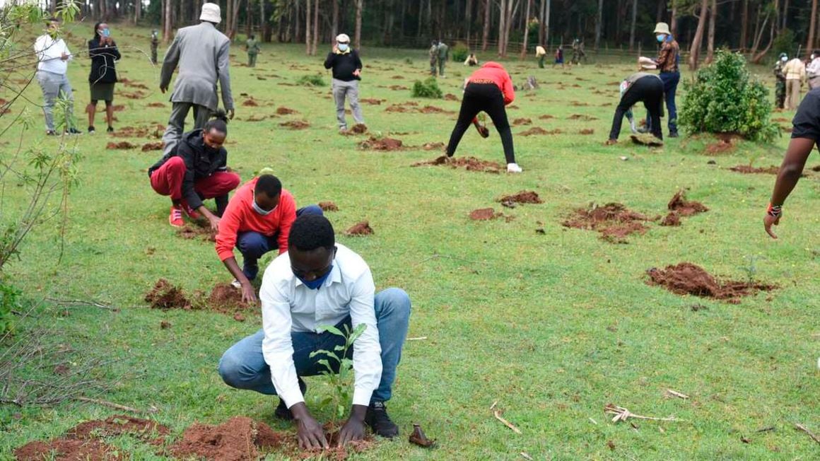 International Day of Forests: The best gift to give to the world is plant trees