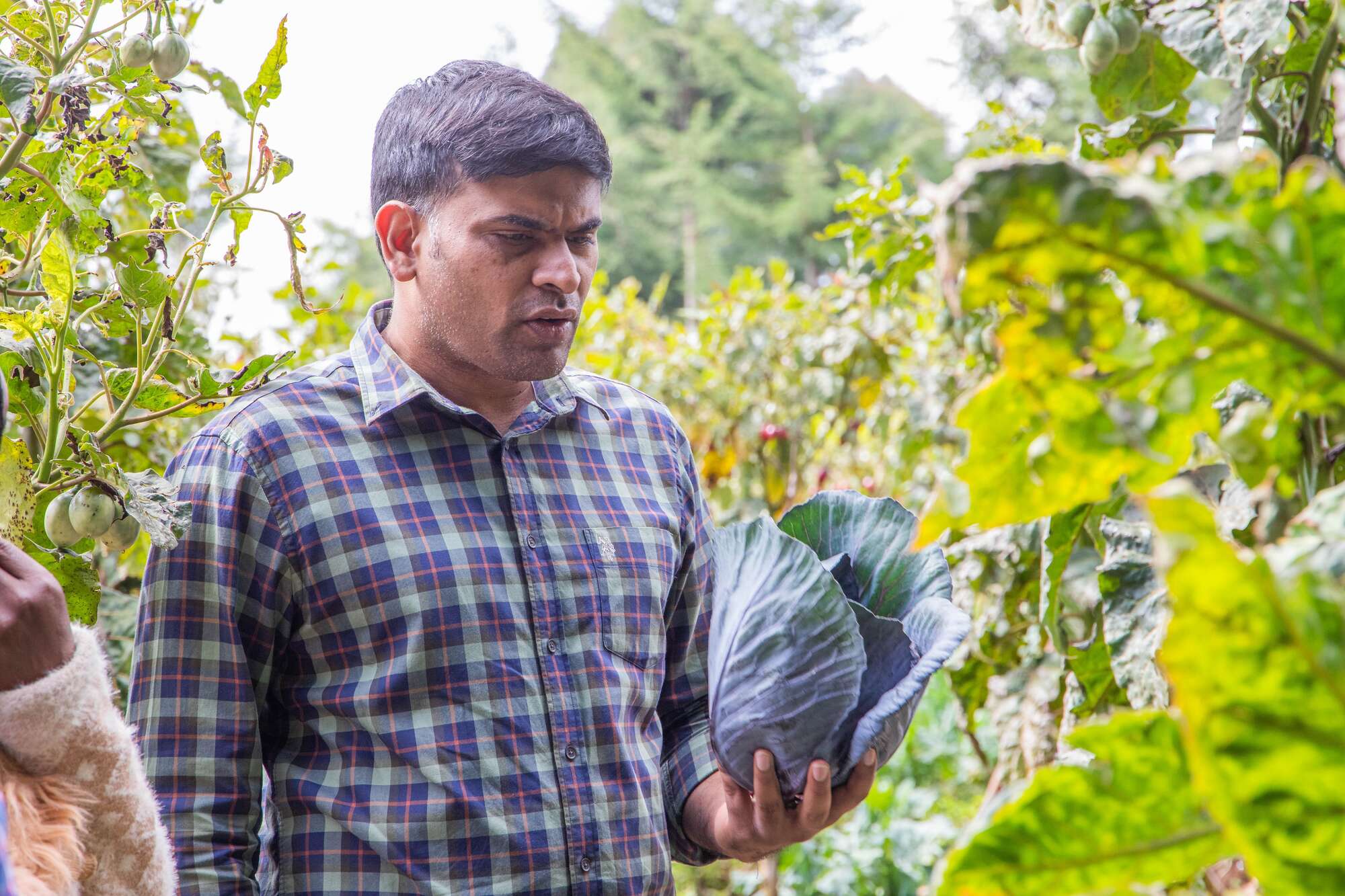 High-growth lessons from agritech start-up founder - Vimarsana News