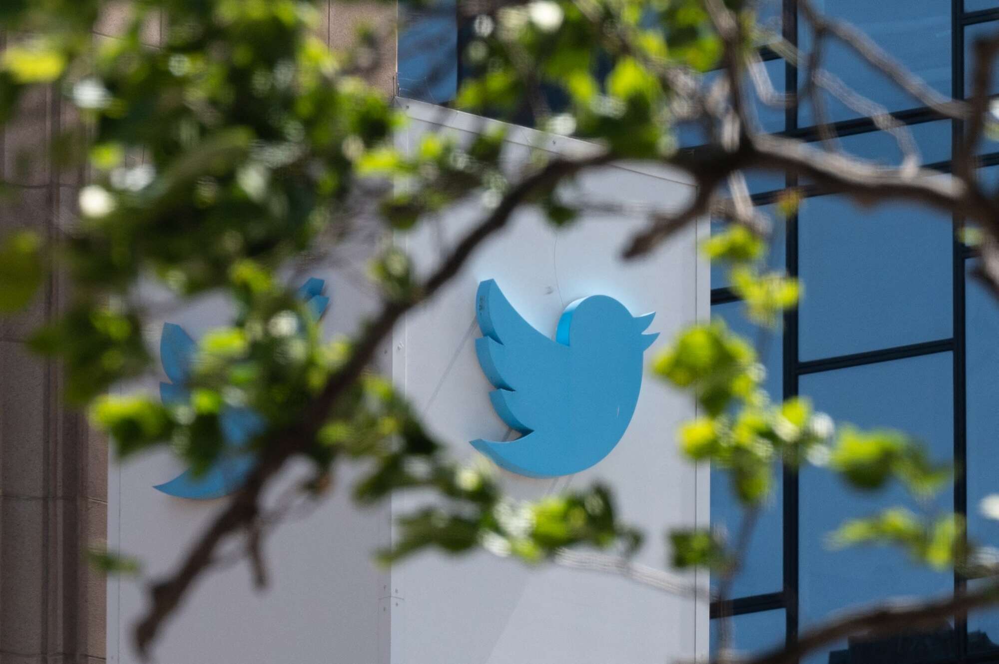 Kenyan firms, State agencies to pay Sh132,520 monthly for Twitter verification - Vimarsana News