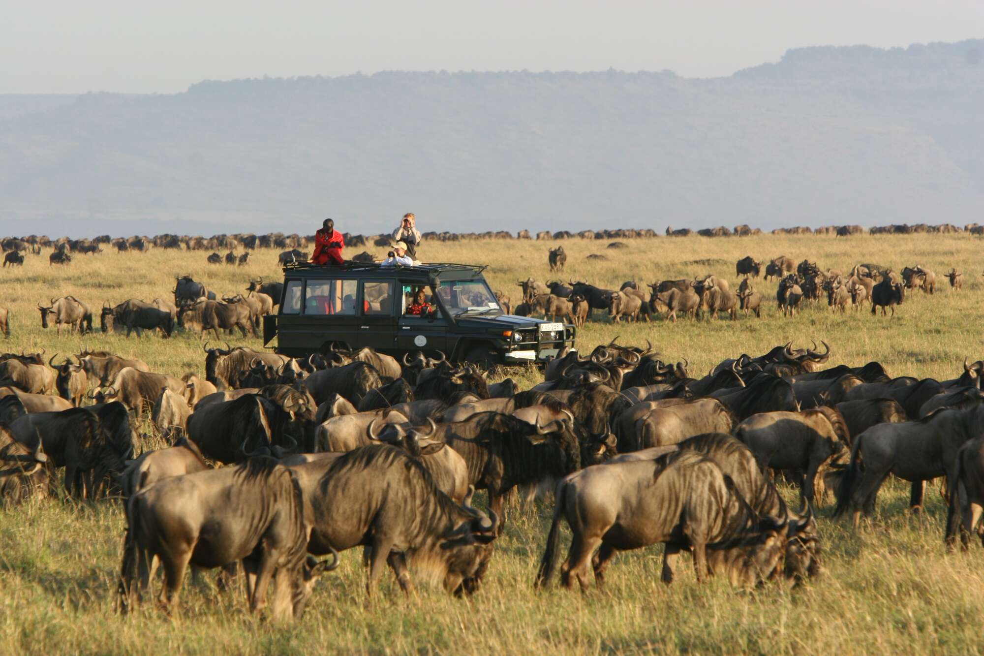 Traveller wins Sh3.8m over Maasai Mara fall - Vimarsana News