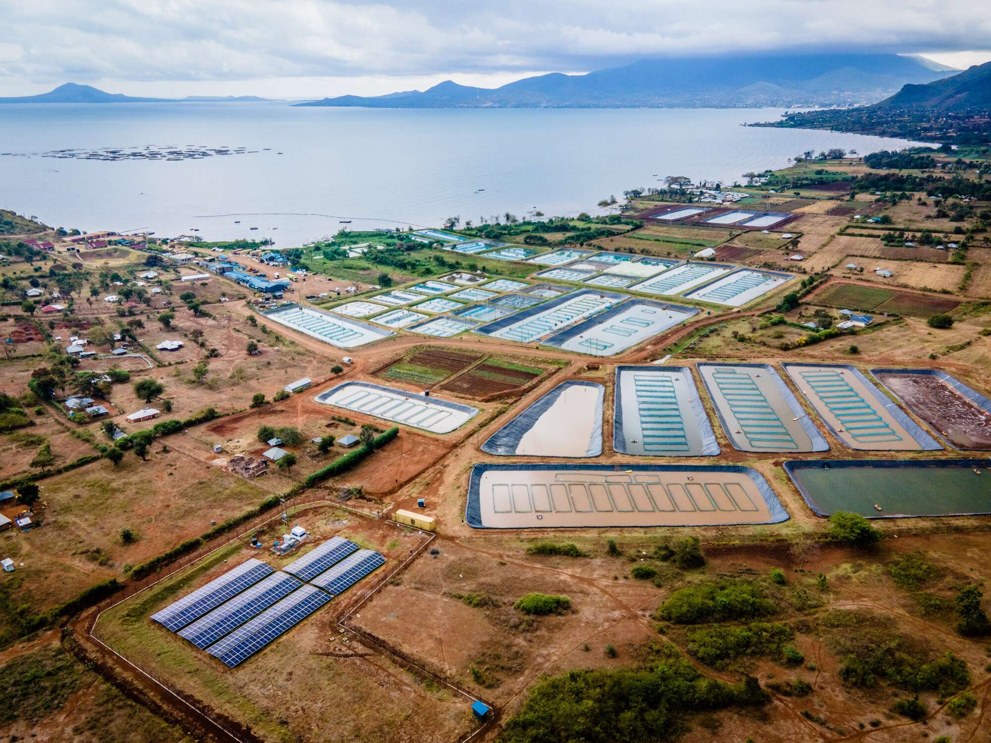 New list of Kenya's little-known firms earning billions revealed - Vimarsana News