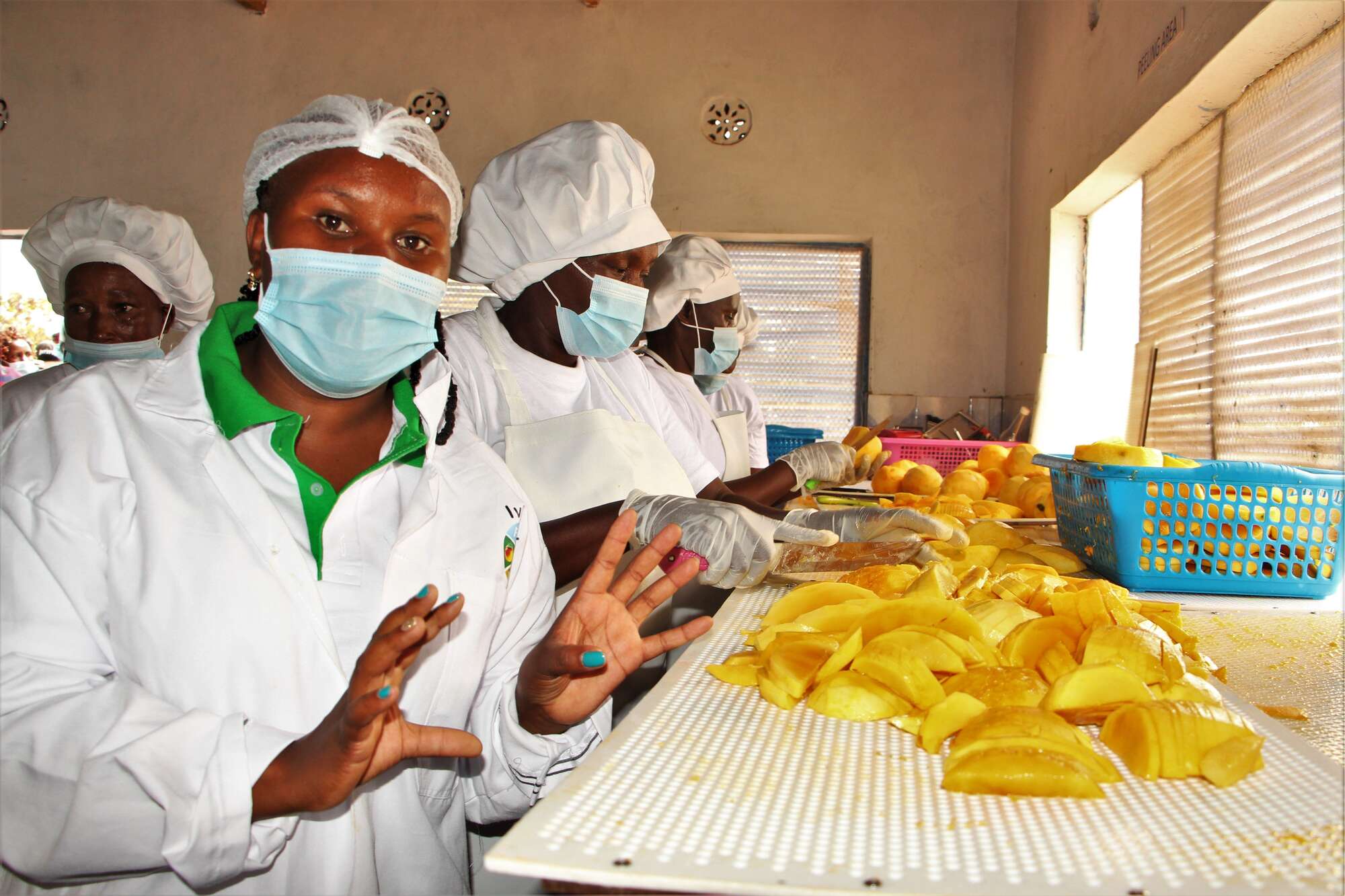 Makueni farmer finds sweet success turning mangoes into crisps - Vimarsana News