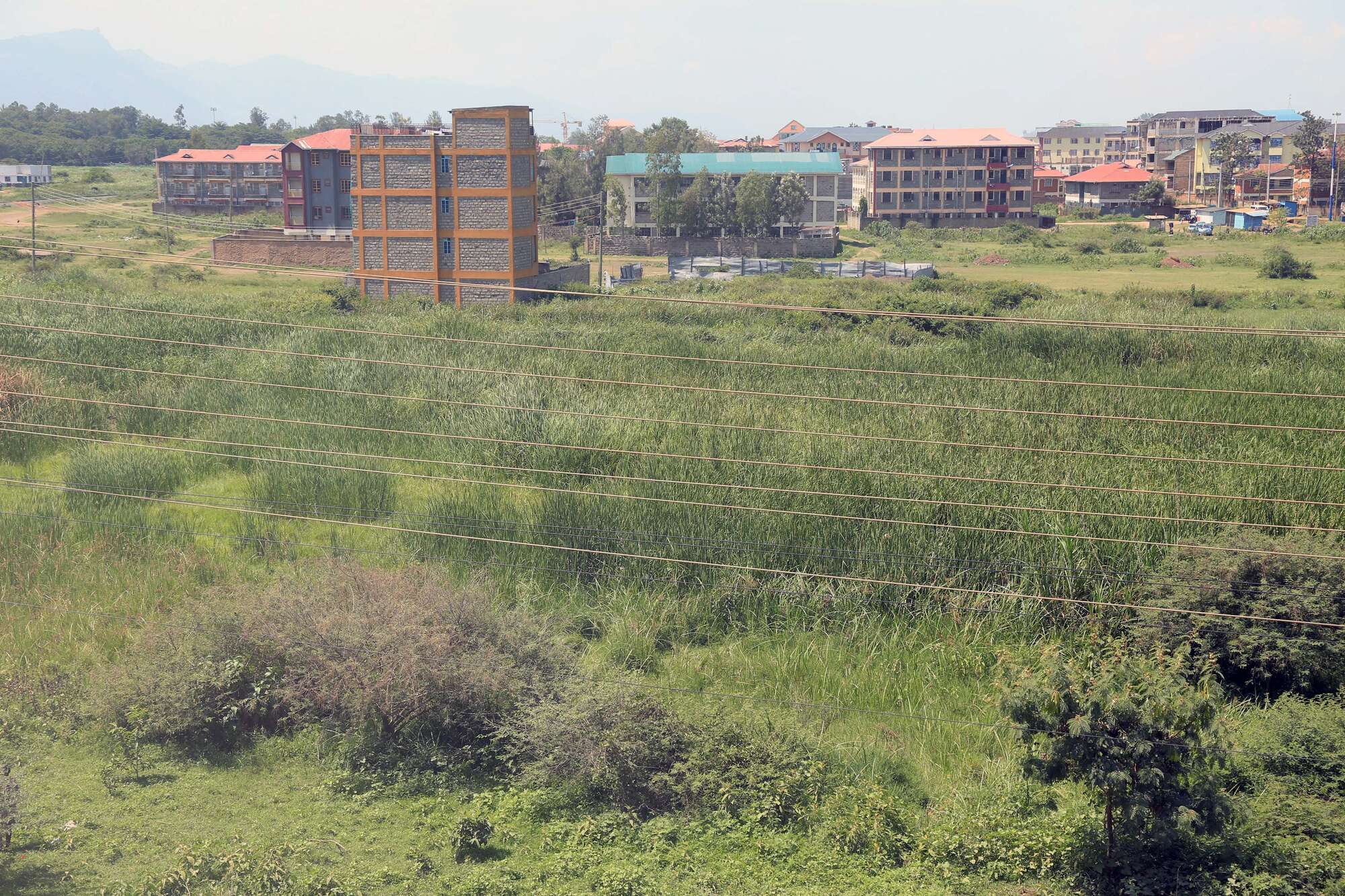 Why Africa is losing the battle to save its wetlands in spite of treaty - Vimarsana News