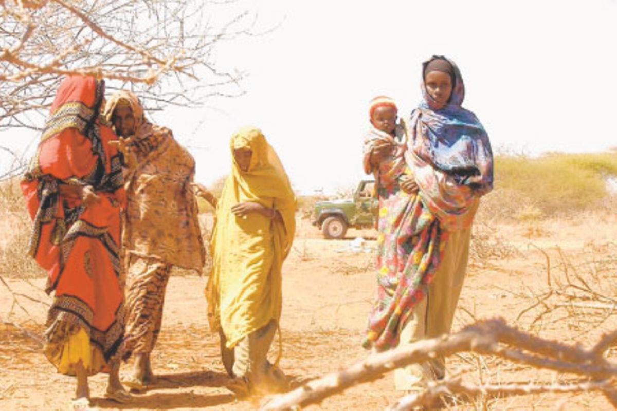 Essential oils sector sprouts from North Eastern’s dry lands Business