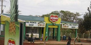 DELMONTE