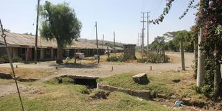 karuturi1