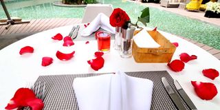 RADISSONARBORETUMD