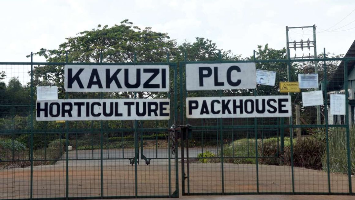 Kakuzi offices in Murang'a County