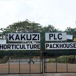 Kakuzi offices in Murang'a County