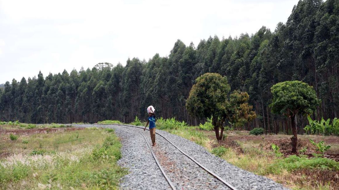 Kakuzi offices in Murang'a County