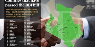 BBI VOTE