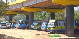 buses
