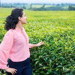 MuthaigaTea1