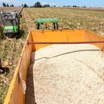 Maize2510l